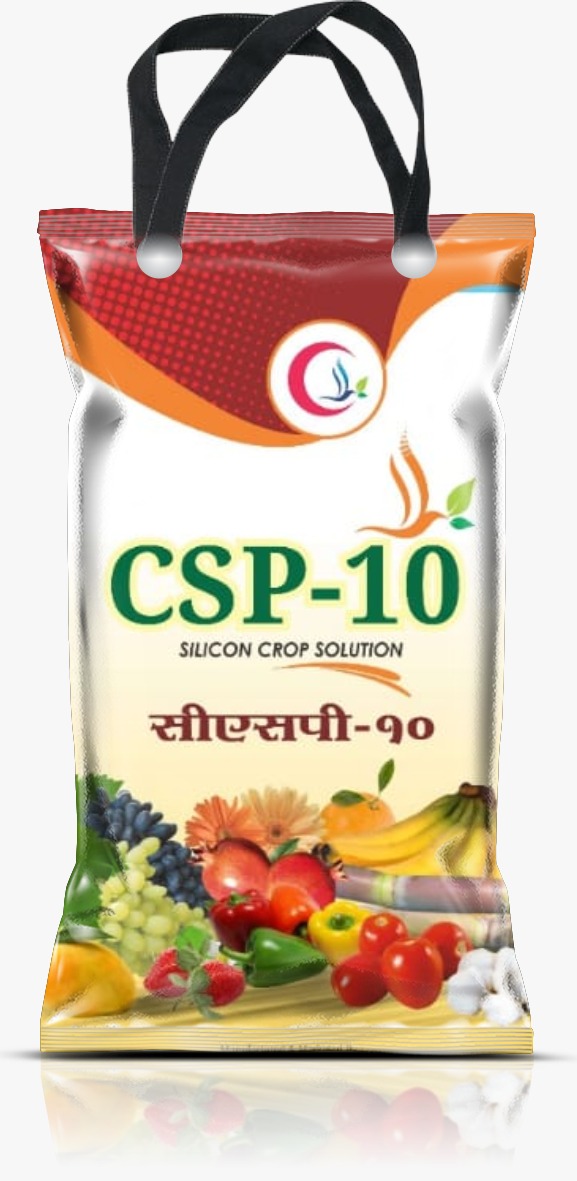 CSP-10